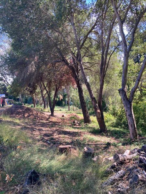 514 Meder Street, Santa Cruz CA: https://media.crmls.org/mediaz/49f90892-1c94-4b7f-8305-450e0e2bc05d.jpg