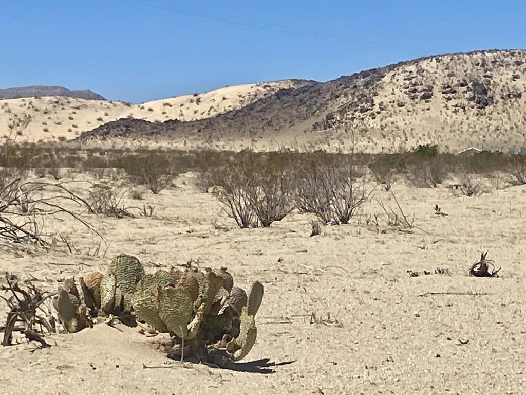 MLS #219133463PS image #4