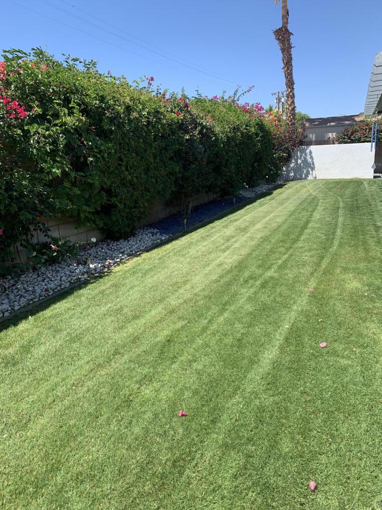 MLS #219139581DA image #9