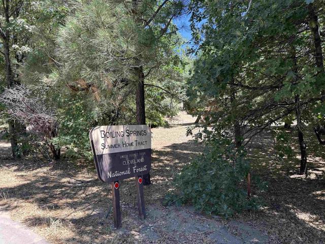 1126 Boiling Springs, Mount Laguna CA: https://media.crmls.org/mediaz/49fd38d3-1bad-44da-8a68-1ee6260a0a4c.jpg