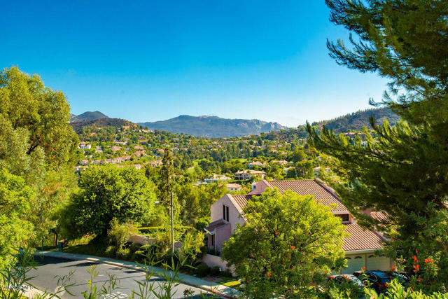 Backyard Views