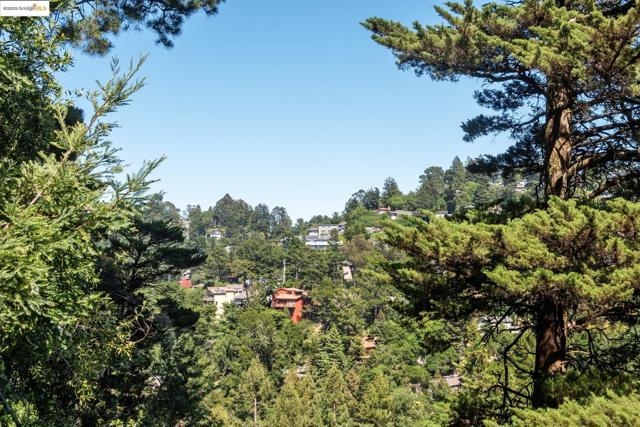 2560 Carisbrook Dr, Oakland CA: https://media.crmls.org/mediaz/4a072dc3-7916-473e-b5f4-1cf7bbfee392.jpg