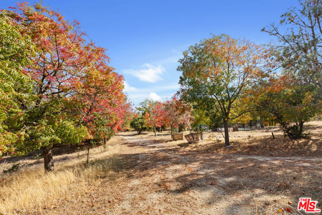 Image 39 of 59 For 28765 Pine Canyon Road