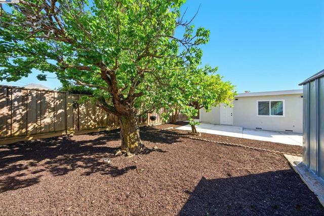 3288 School Street, Oakland CA: https://media.crmls.org/mediaz/4a0e580c-0d67-4805-8bc8-0da2e05005ee.jpg