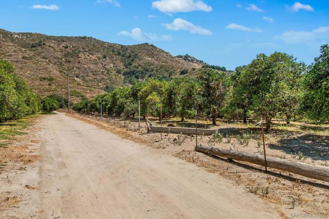 3264 Shearer Xing, Fallbrook, California 92028, 4 Bedrooms Bedrooms, ,2 BathroomsBathrooms,Single Family Residence,For Sale,Shearer Xing,240026943SD