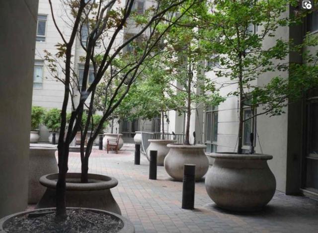 423 7th Street, Oakland CA: https://media.crmls.org/mediaz/4a257793-9ea5-4b59-9278-00c24a34c491.jpg