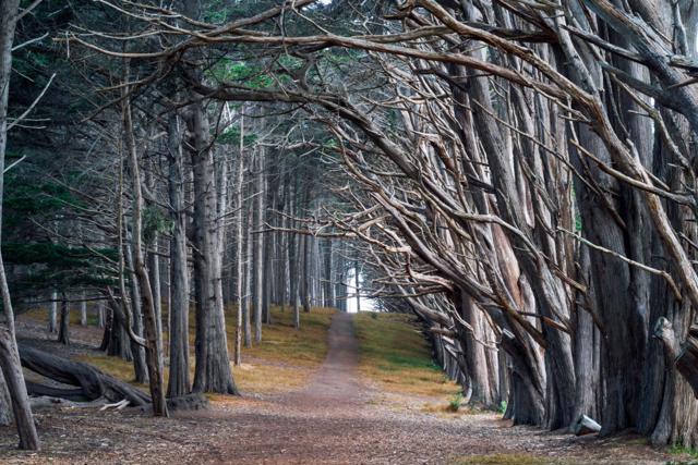 855 San Ramon Avenue, Moss Beach CA: https://media.crmls.org/mediaz/4a293a24-40e5-4c9e-becd-55eb94a81ff4.jpg