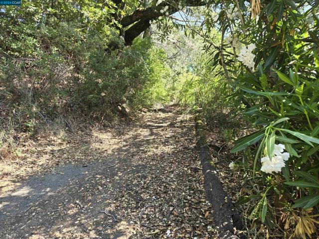 100 Black Log Rd, Kentfield CA: https://media.crmls.org/mediaz/4a314776-facd-4256-92b8-9acea08034b9.jpg