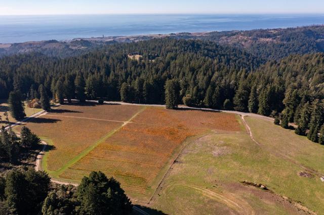 3980 Bonny Doon Road, Santa Cruz CA: https://media.crmls.org/mediaz/4a3519e3-c530-4ef3-9a81-3e3e5067f3b0.jpg