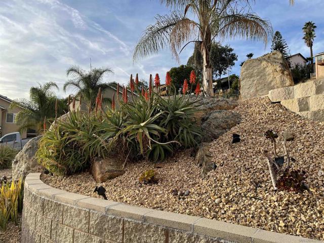 MLS #250032809SD image #8