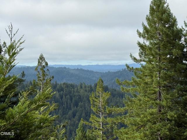 Front Image Thumbnail for CRC1-11254