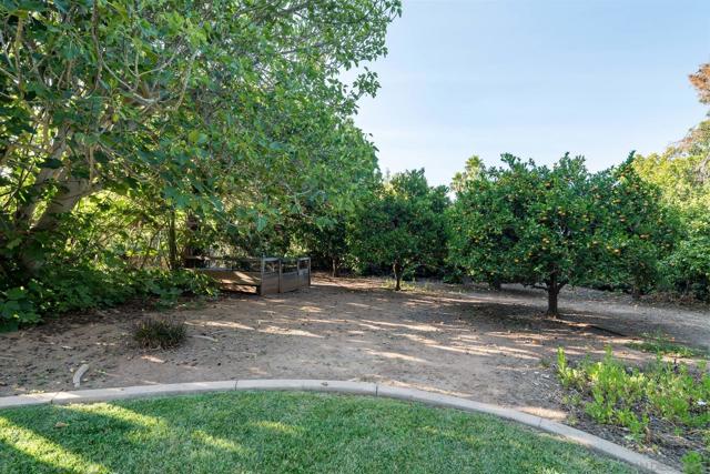 13678 Orchard Gate Road, Poway CA: https://media.crmls.org/mediaz/4a3e5e25-d959-47c5-aaf5-2276a90113f2.jpg