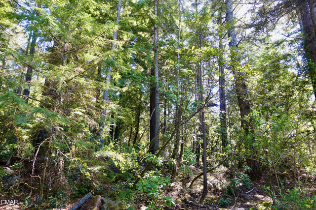 Detail Gallery Image 9 of 18 For 43535 Comptche Ukiah Rd, Mendocino,  CA 95460 - – Beds | – Baths