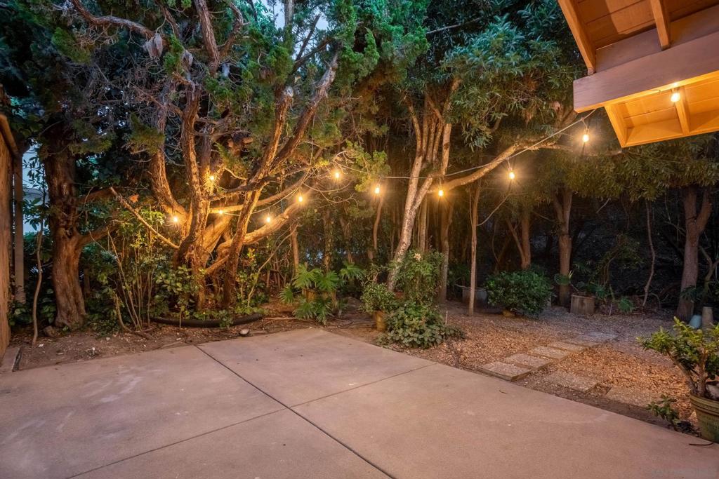 7415 Caminito Rialto - photo 16