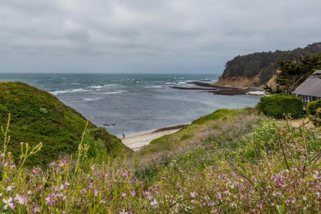 0 Oak Avenue, Moss Beach CA: https://media.crmls.org/mediaz/4a57622e-5ef0-4541-8e14-493ab58df45b.jpg