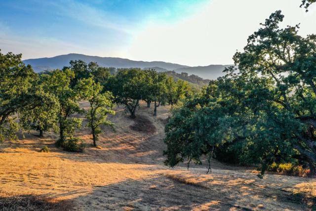 21 Long Ridge Trail, Carmel CA: https://media.crmls.org/mediaz/4a635f46-cab9-4ea8-92c4-4e95a48b799b.jpg