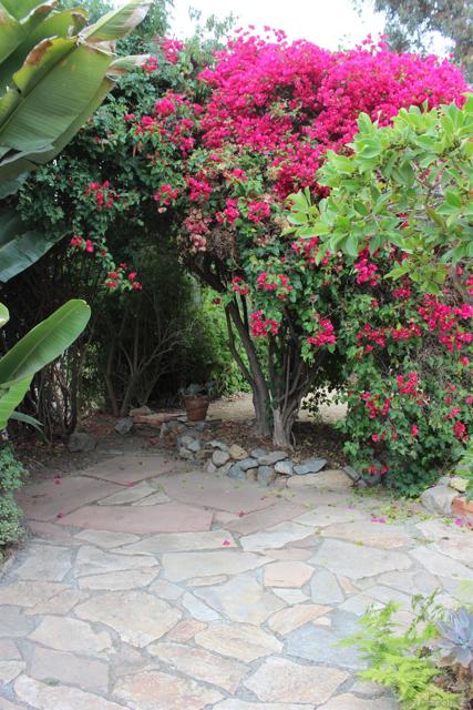1035 Edgemont Place, San Diego CA: https://media.crmls.org/mediaz/4a6c837b-6e89-4aba-95e7-b0b0a4e38eb3.jpg
