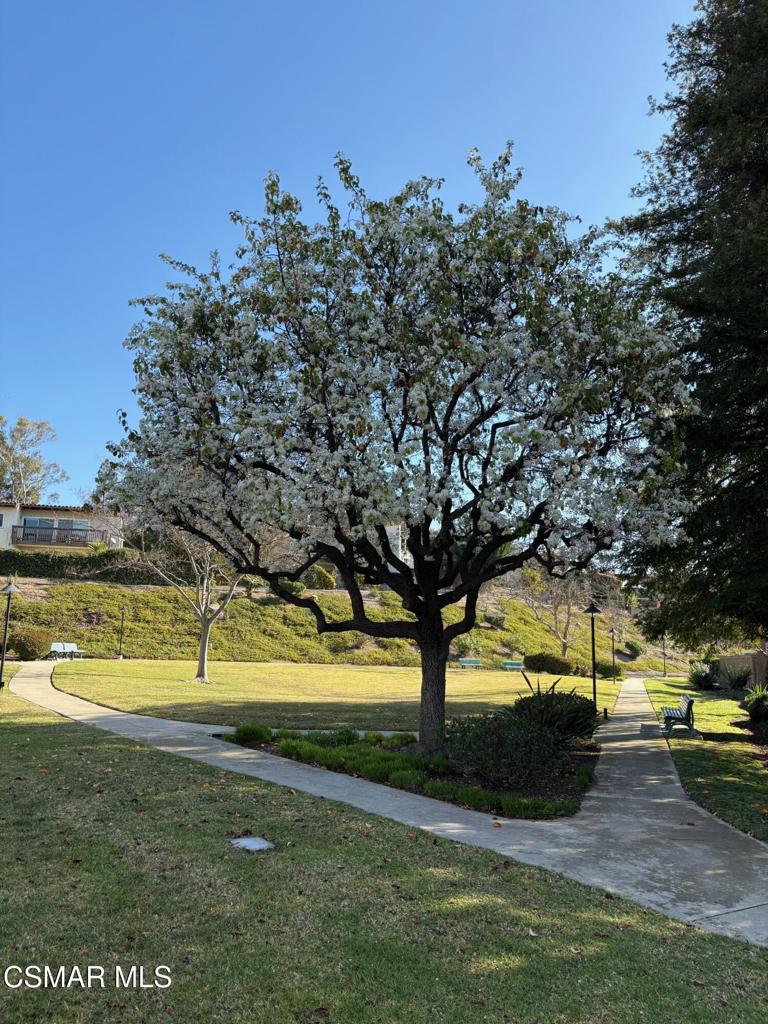 https://media.crmls.org/mediaz/4a6d60c8-bb6f-4a14-b605-e6fba21a537d.jpg?preset=X-Large