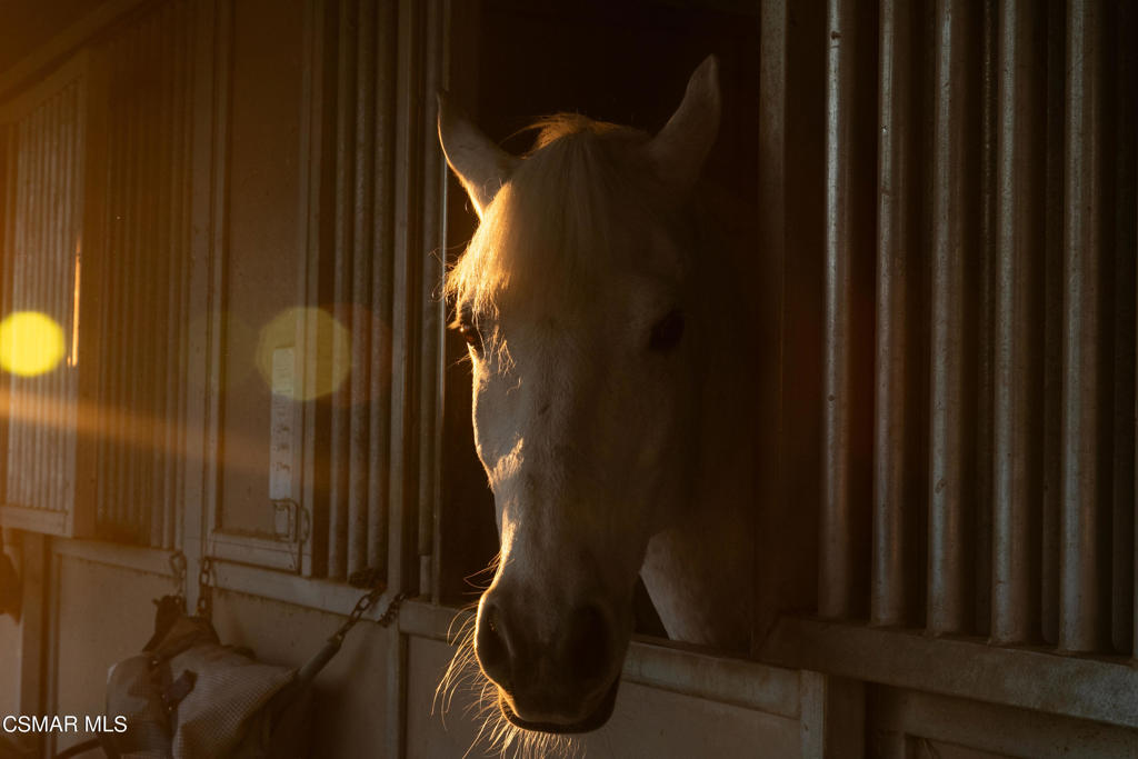https://media.crmls.org/mediaz/4a70268c-cb35-425c-8d5f-806c6b435cb7.jpg?preset=X-Large