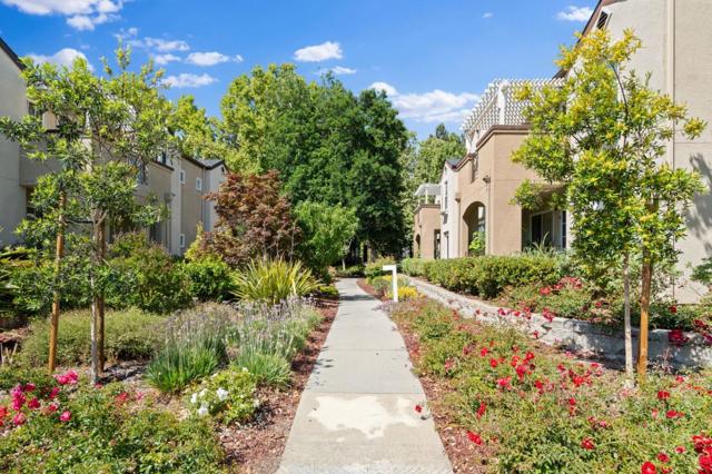 803 Debut Court, San Jose CA: https://media.crmls.org/mediaz/4a7749ed-76bf-4d3f-85df-e56fd3600c5f.jpg