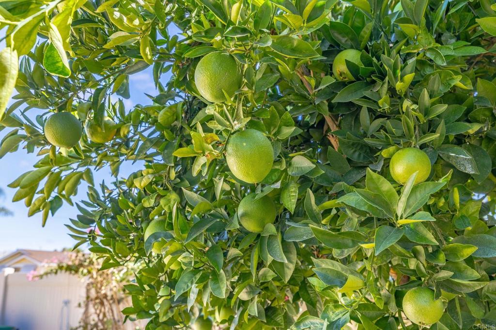 MLS #NDP2509684 image #24