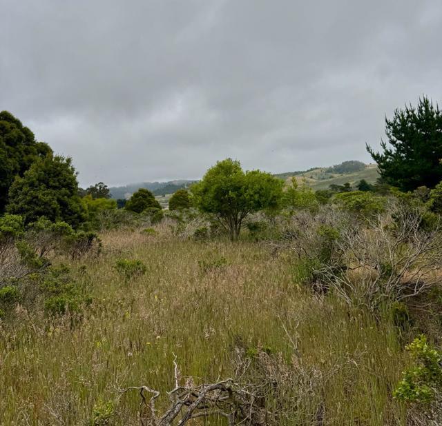 0 Bonita, Half Moon Bay CA: https://media.crmls.org/mediaz/4a86e301-7225-4838-bf70-17fe3b818e62.jpg
