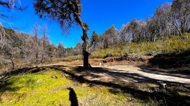 11035 Empire Grade, Santa Cruz CA: https://media.crmls.org/mediaz/4a913486-f414-46dc-a3f3-73b838204950.jpg