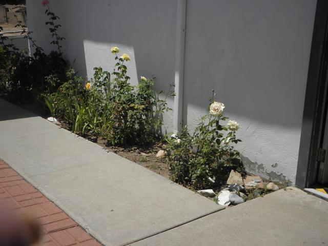 6707 Mineral Dr, San Diego CA: https://media.crmls.org/mediaz/4a98bfb4-0fc7-4a5b-b8e2-418a1e5a11f8.jpg