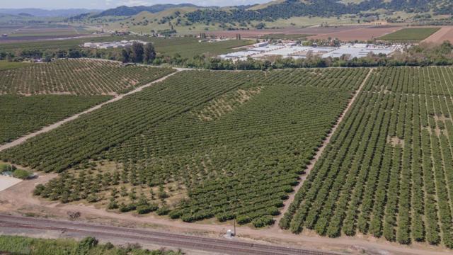 275 Bolsa Road, Gilroy CA: https://media.crmls.org/mediaz/4aa53dfa-1c35-42c3-8a49-e9afc80a7510.jpg