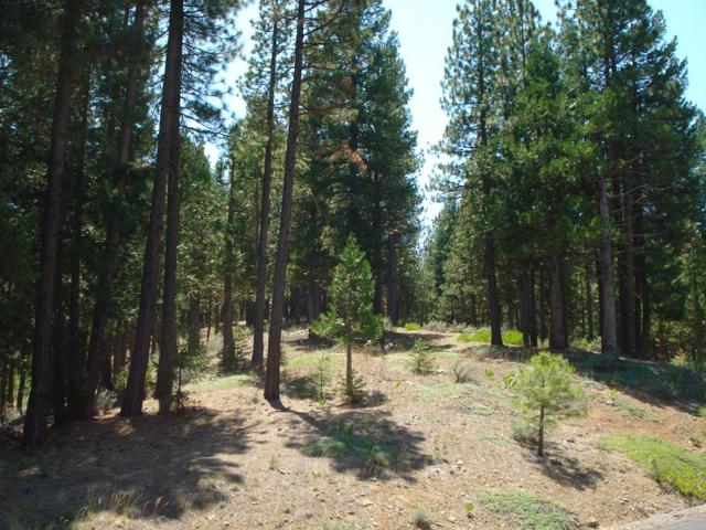 976 Moon Shadow, Portola CA: https://media.crmls.org/mediaz/4aa7515a-83d4-4de5-a73f-65d85dd12547.jpg