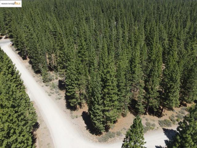 45 Claireville RD, Portola CA: https://media.crmls.org/mediaz/4aa904fb-524c-437b-9b3e-95cb2b5a2b22.jpg