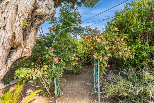 3554 Andrea Court, San Jose CA: https://media.crmls.org/mediaz/4aa98317-3e3e-42b9-8e45-a6aa306b56c6.jpg