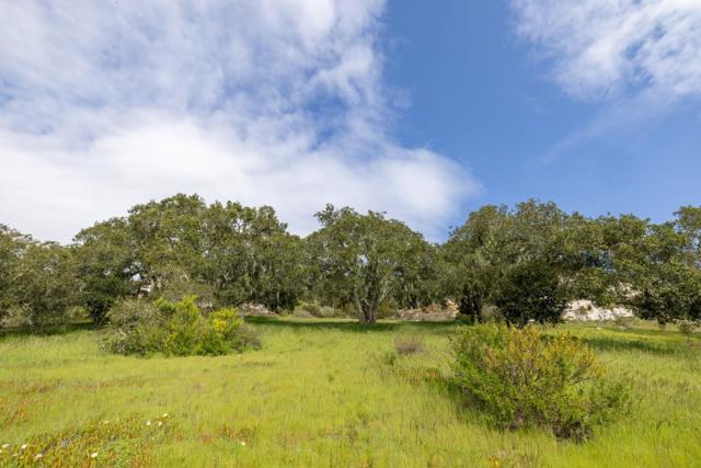 315 Pasadera Court, Monterey CA: https://media.crmls.org/mediaz/4aac2d4b-186c-496b-a676-4e7ee8219e23.jpg