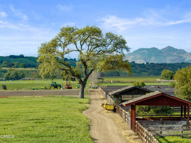 Detail Gallery Image 64 of 75 For 3325 Figueroa Mountain Rd, Los Olivos,  CA 93441 - 3 Beds | 3/2 Baths