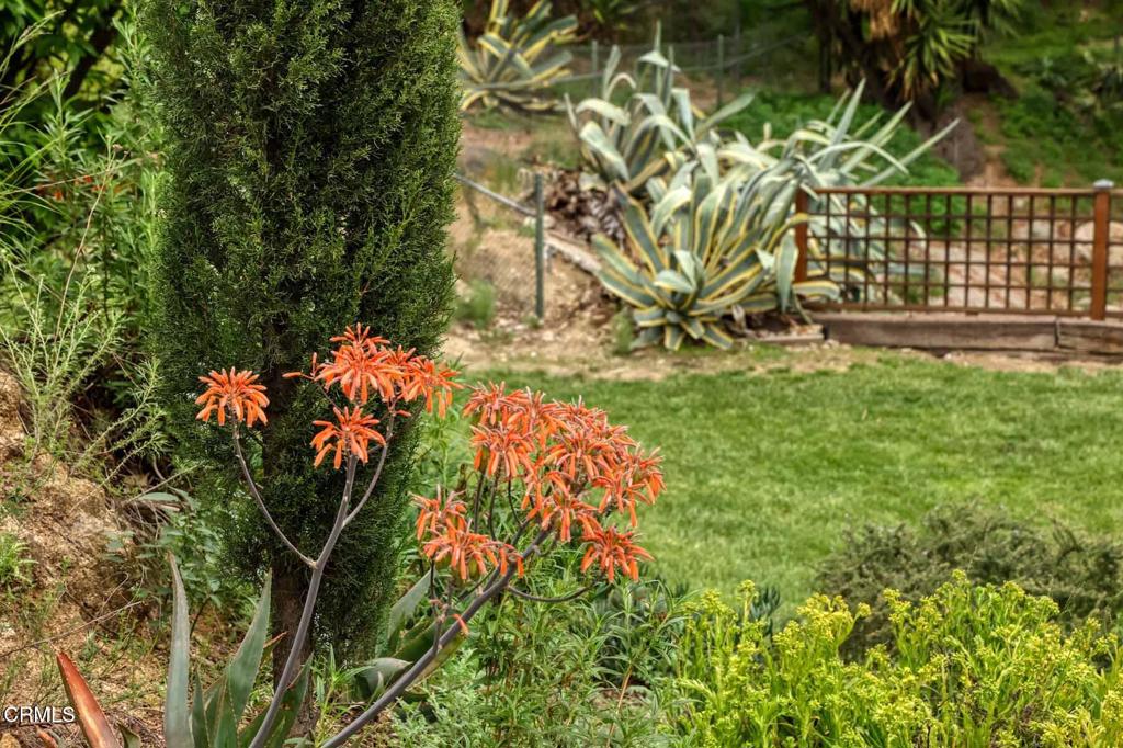 MLS #P1-21999 img 33