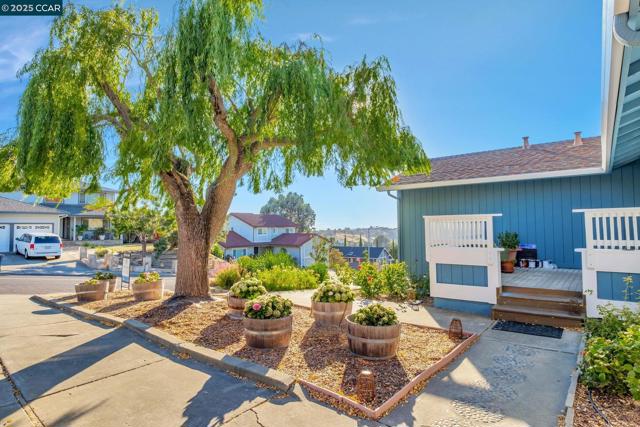154 Turnberry Way, Vallejo CA: https://media.crmls.org/mediaz/4ab72a74-ee06-430a-a6d8-29ce6f5f610c.jpg