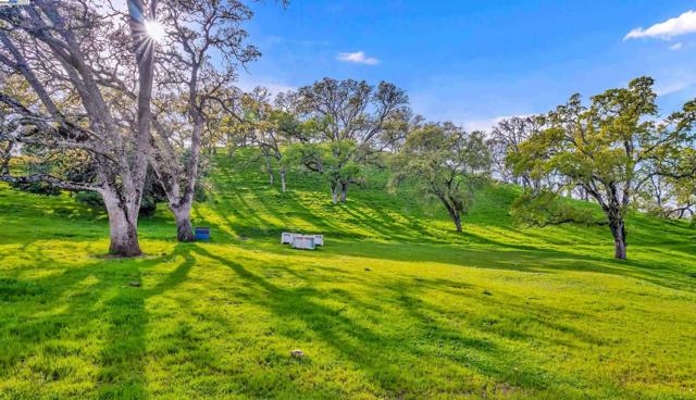 3300 Bragdon Way, Clayton CA: https://media.crmls.org/mediaz/4ac97d2a-696a-48a1-bf2a-23e15ed56670.jpg