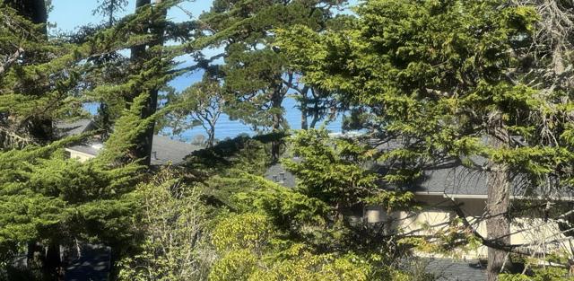 59 Skyline Crest Dr, Monterey CA: https://media.crmls.org/mediaz/4ad2a89a-9f7d-42dd-b7ec-6135fd29cdf7.jpg