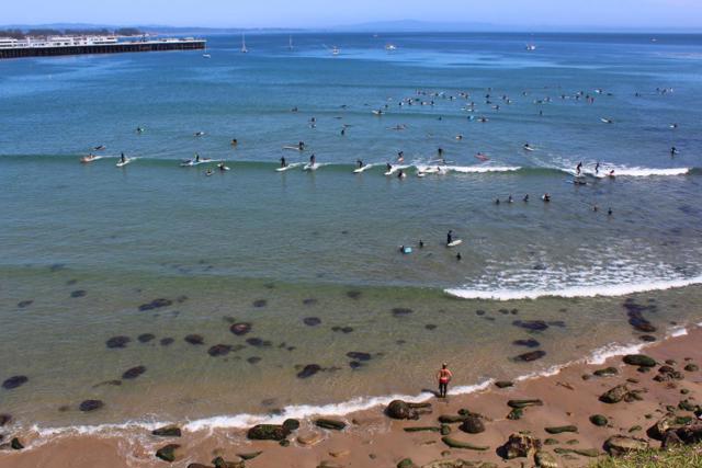 515 Chestnut Street, Santa Cruz CA: https://media.crmls.org/mediaz/4ad3d40d-1af6-443a-8526-277bcd607018.jpg