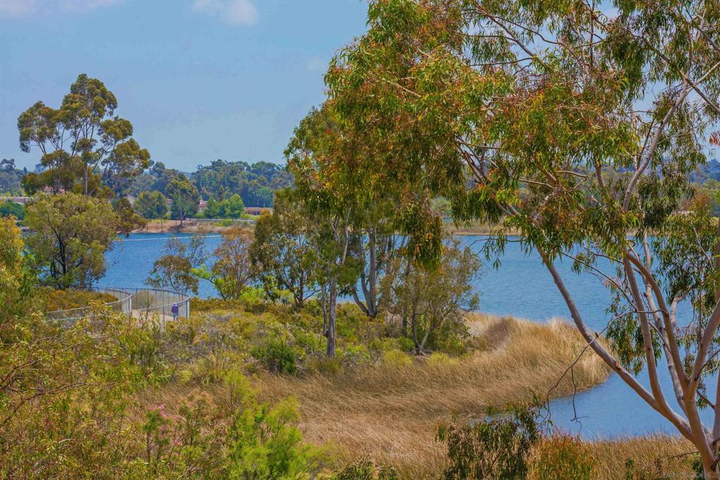 MLS #250031714SD img 5