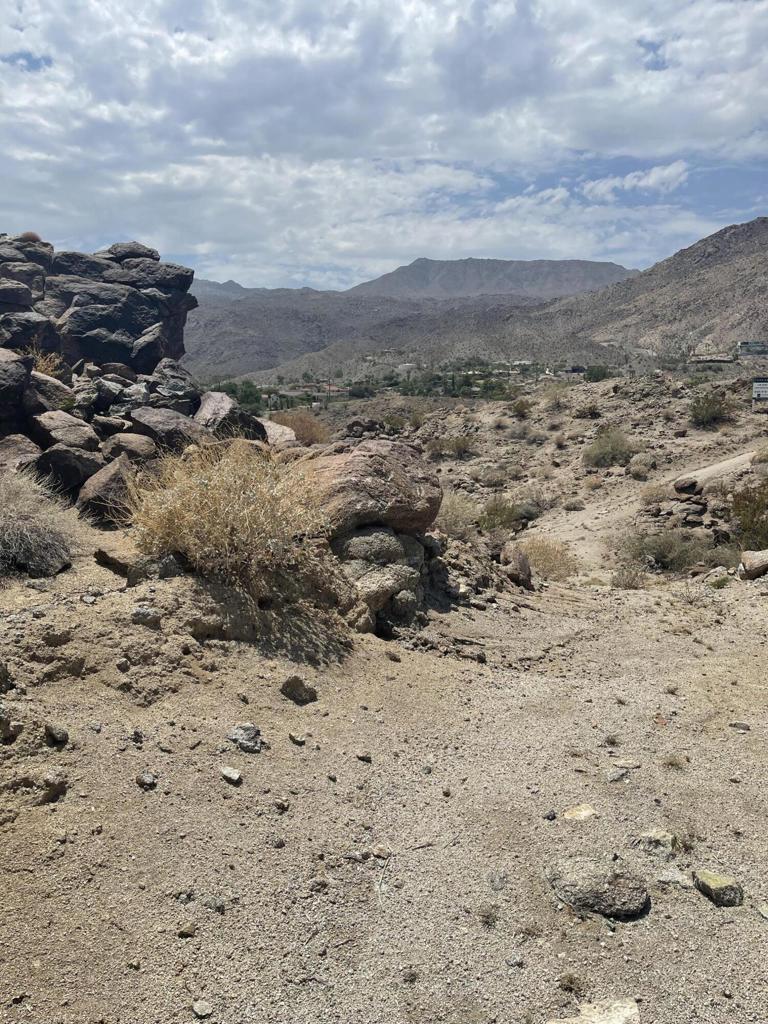 MLS #219138926DA image #5