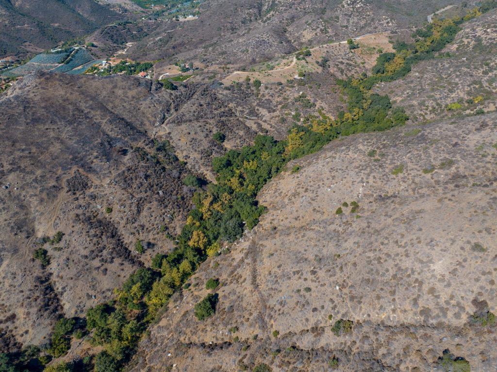 MLS #250022588SD img 7