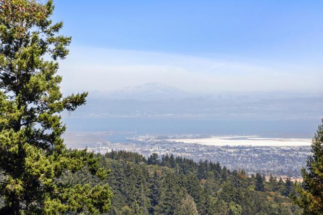 33 Bear Glen Drive, Woodside CA: https://media.crmls.org/mediaz/4af87fda-ccc1-4308-908e-01310cc7f511.jpg