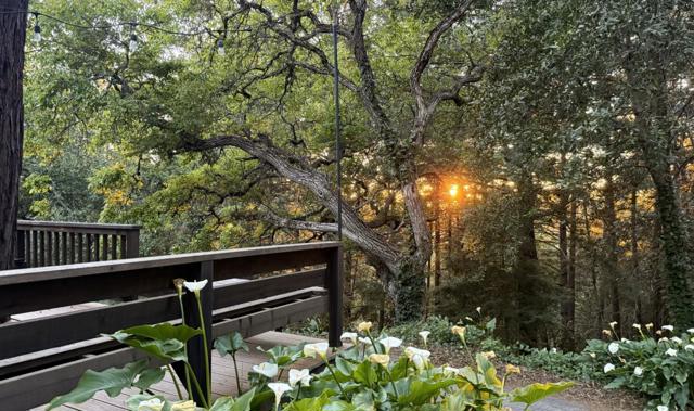 50 Ocean View Road, Los Gatos CA: https://media.crmls.org/mediaz/4af9a7b7-200e-4848-ac13-246d9bf9bebe.jpg