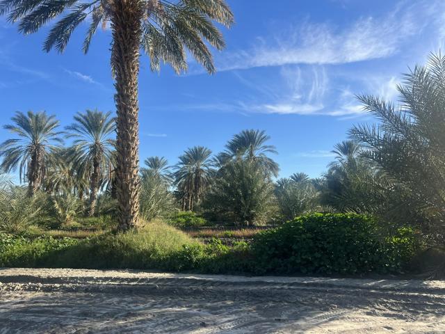 0 Nwc Pierce St & Ave 64, Thermal CA: https://media.crmls.org/mediaz/4b1d8190-2860-4baf-821c-8de3567e1351.jpg