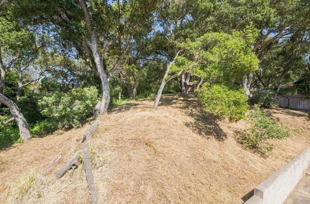 18105 Wylie Hill Lane, Prunedale CA: https://media.crmls.org/mediaz/4b32b2f9-939d-4660-8bf0-25e57d946018.jpg