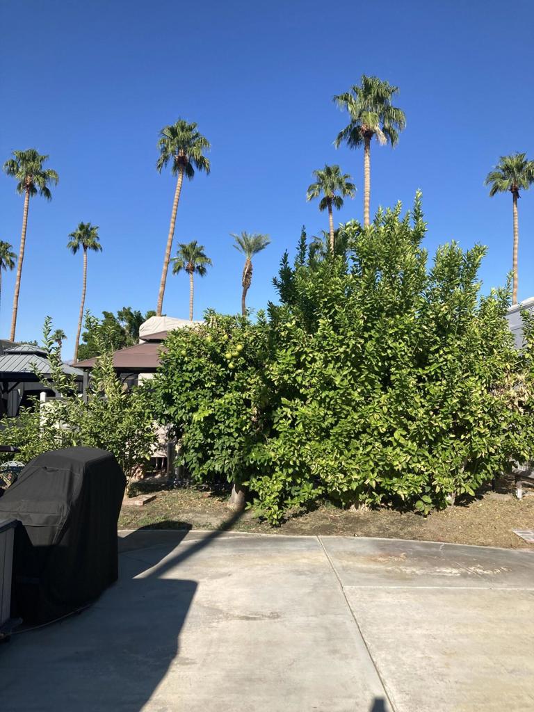 MLS #219135740DA image #13