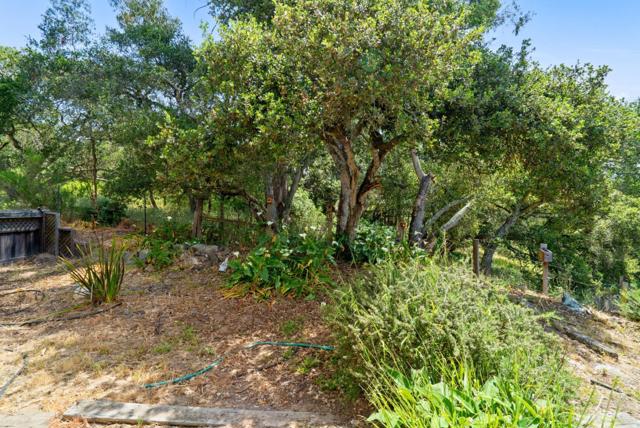 739 Snyder Avenue, Aromas CA: https://media.crmls.org/mediaz/4b3ab8b0-45b1-4c85-8627-01b0861f8a4a.jpg