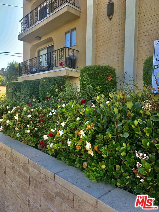 1097 S Bedford Drive, Los Angeles CA: https://media.crmls.org/mediaz/4b3d6a2d-b48d-470c-a522-dd8a5e5e1928.jpg