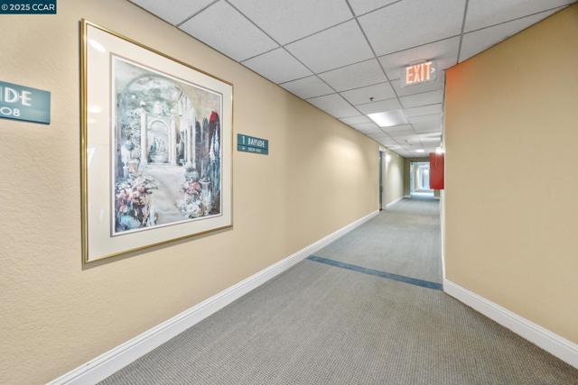 535 Pierce St, Albany CA: https://media.crmls.org/mediaz/4b464443-fbb3-4332-bef2-4618f7c4b714.jpg